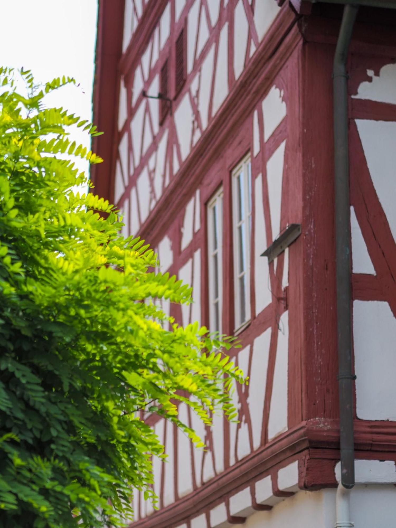 Weinstrasse No 8 "Einfach-Gut-Uebernachten" Leinsweiler Zewnętrze zdjęcie